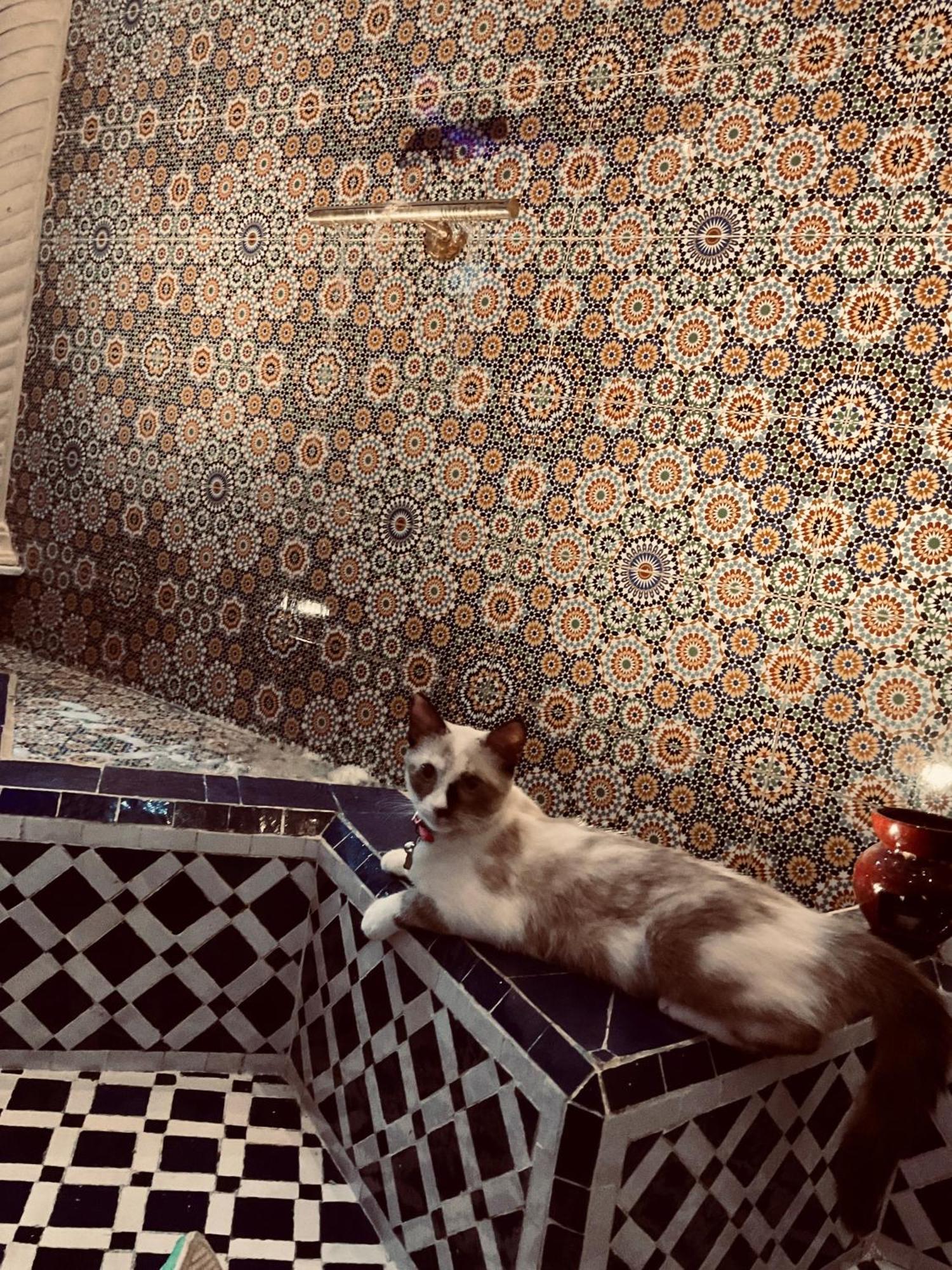 Riad Lalla Merieme Marrakesh Eksteriør billede